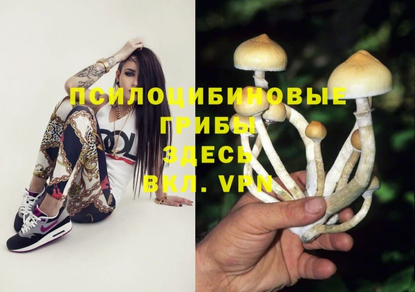 МДПВ Переславль-Залесский