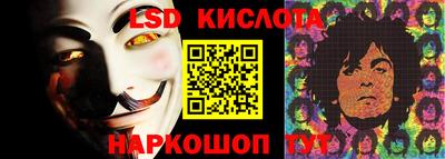 стафф Берёзовский
