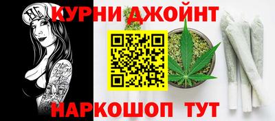 сатива Бийск