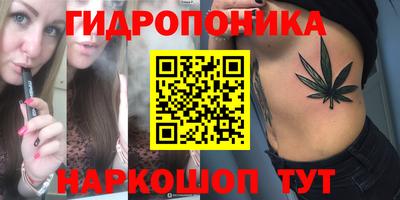 сатива Бийск