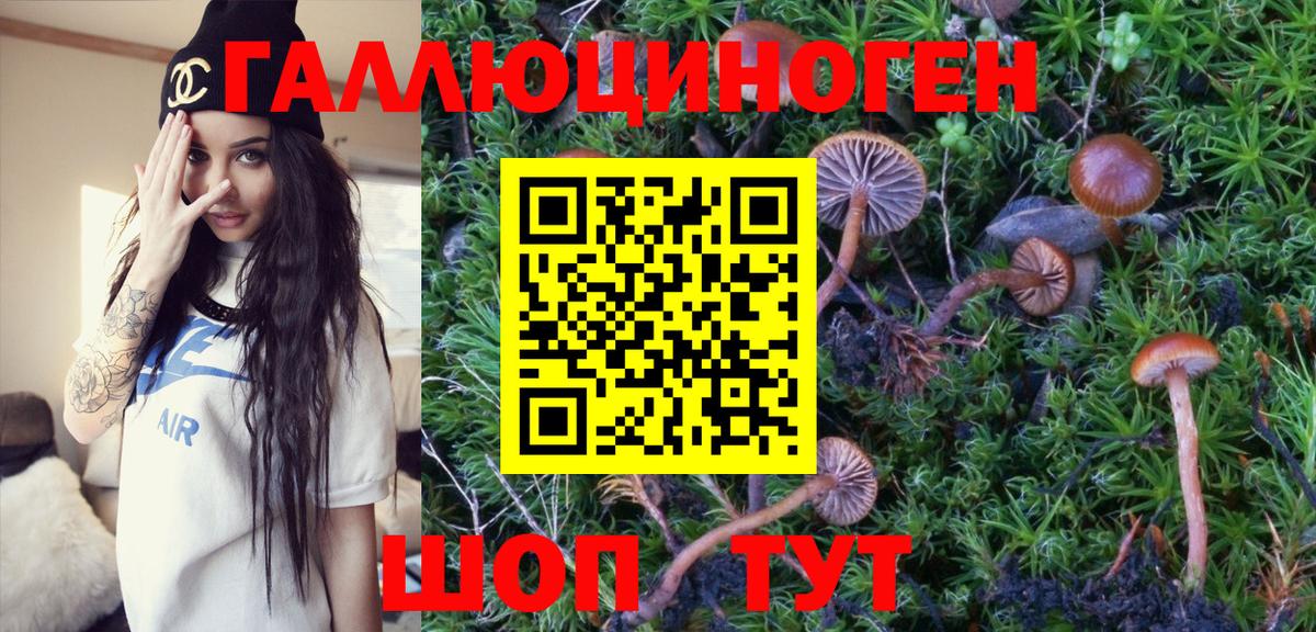 Псилоцибиновые грибы ЛСД Волжск