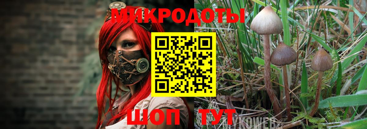 Галлюциногенные грибы мухоморы Волжск