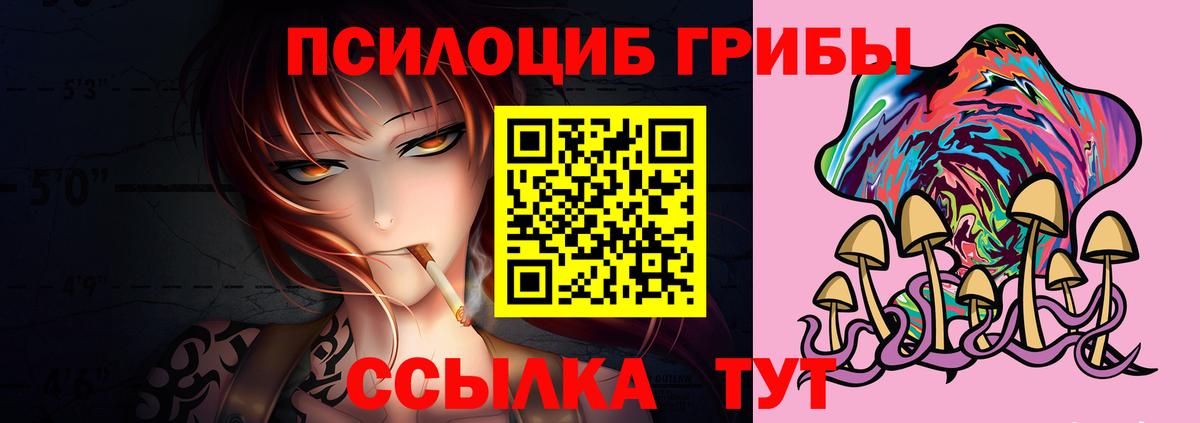 Волжск  Галлюциногенные грибы Psilocybine cubensis  Вход с VPN  Галлюциногенные грибы Psilocybe 